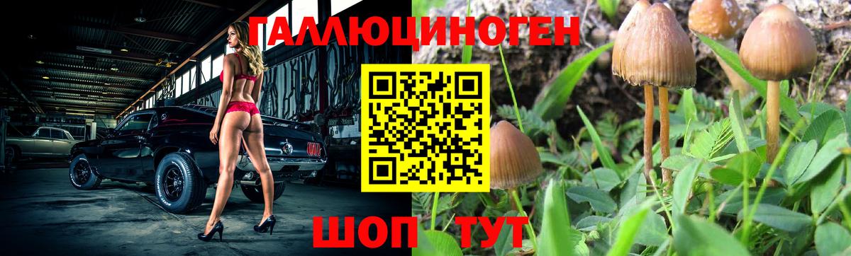 Галлюциногенные грибы ЛСД  Псилоцибиновые грибы Psilocybe  Вход с VPN  Шарыпово 